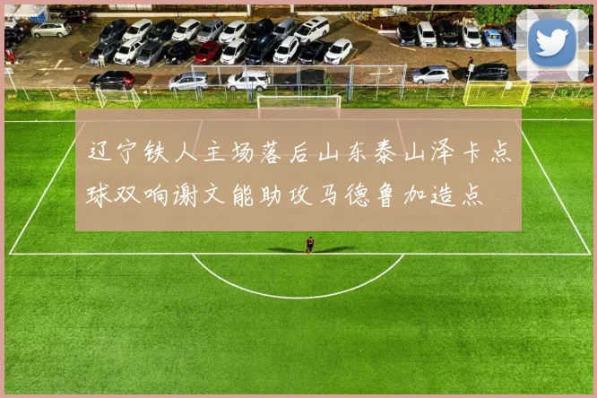 辽宁铁人主场落后山东泰山泽卡点球双响谢文能助攻马德鲁加造点