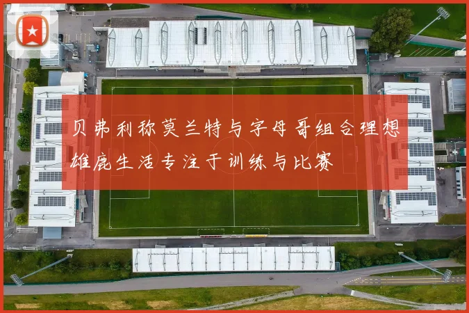 贝弗利称莫兰特与字母哥组合理想雄鹿生活专注于训练与比赛